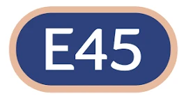 E45